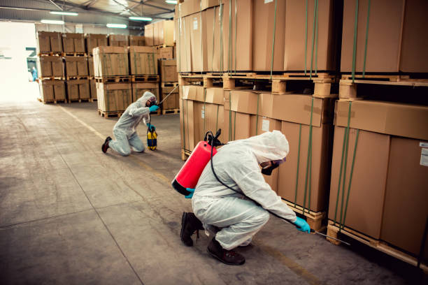 Best Mosquito Control Services  in Little Cypress, TX