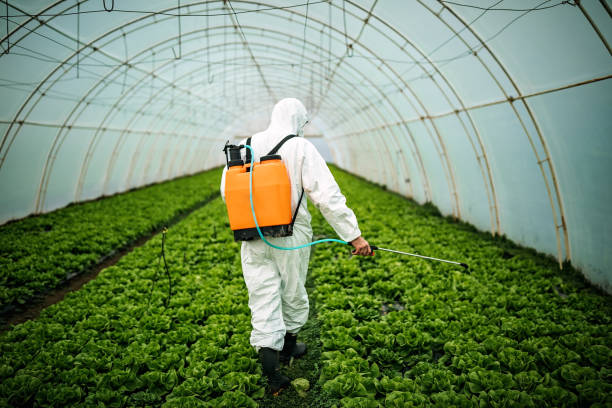 Pest Control for Restaurants in Little Cypress, TX