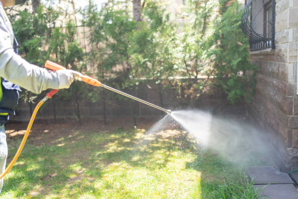 Best Pest Control Cost  in Little Cypress, TX