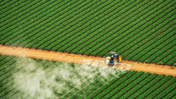 Best Pest Control Cost  in Little Cypress, TX