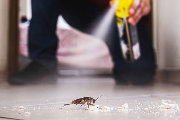 Best Residential Pest Control  in Little Cypress, TX