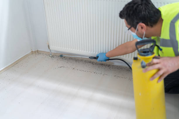 Little Cypress, TX Pest Control Company